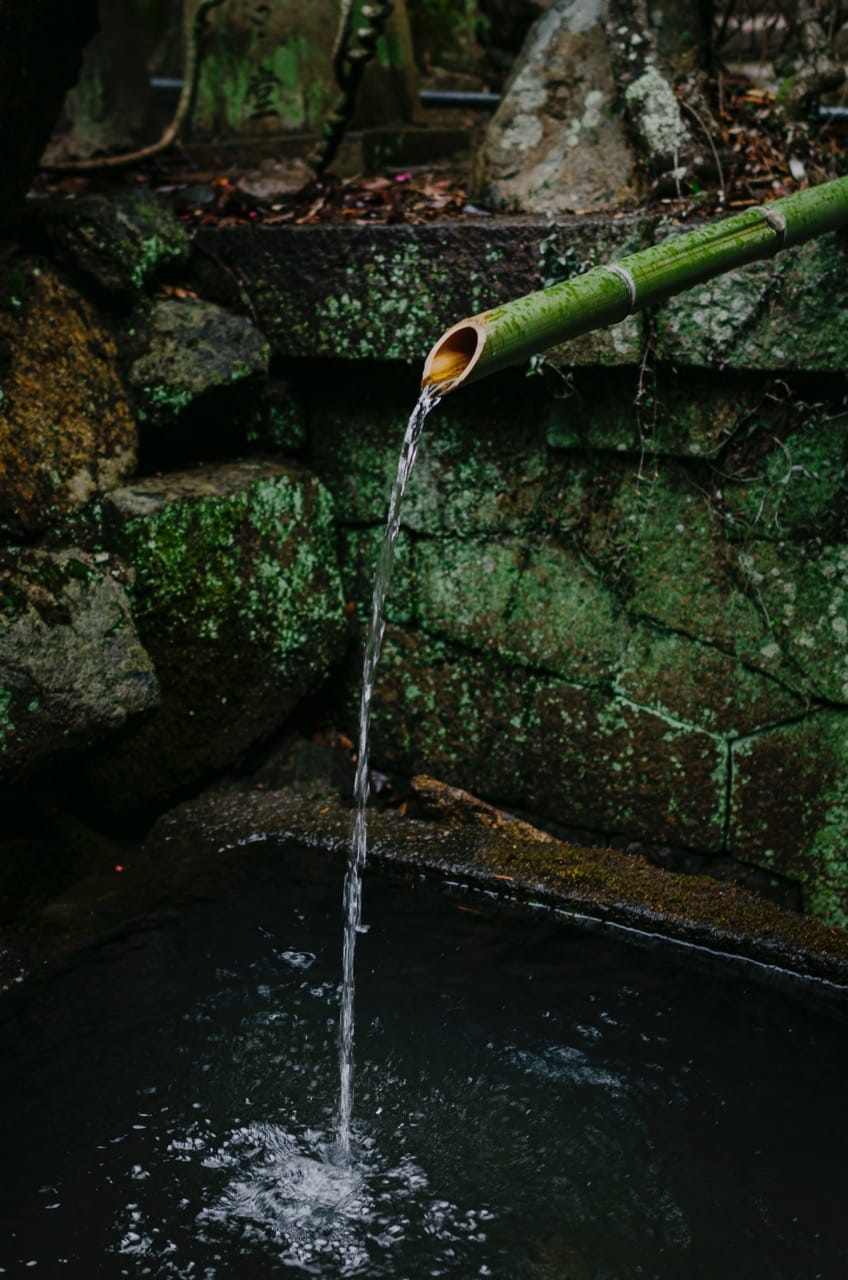 Превью Nara 2024